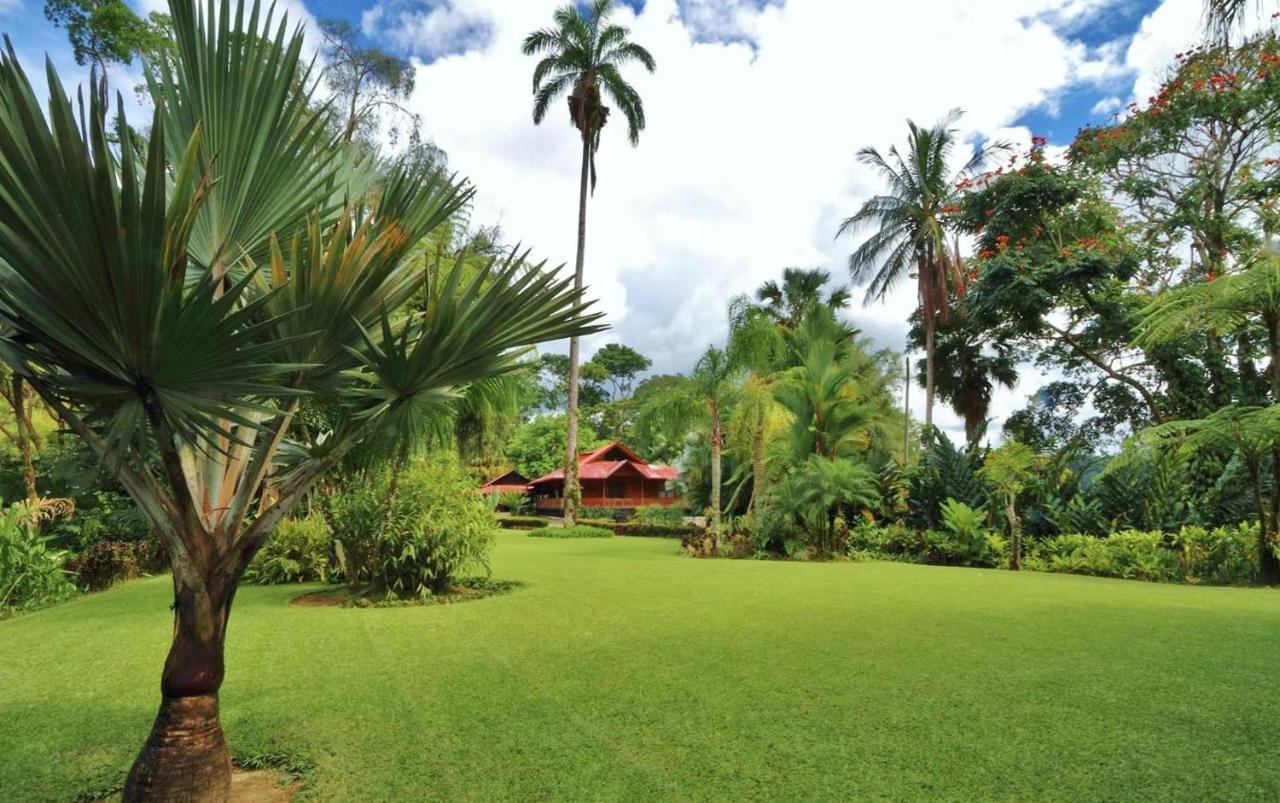 Argovia 5* Tapachula